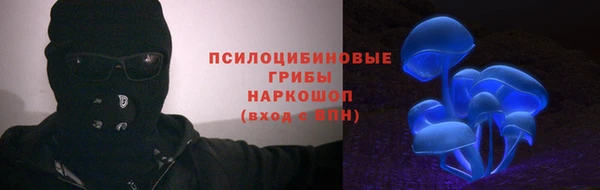 ECSTASY Новодвинск