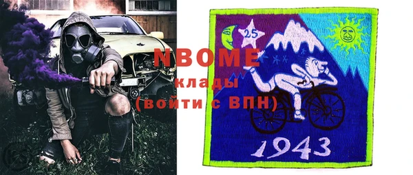 стафф Новозыбков