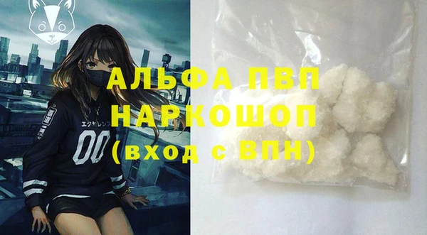 стафф Новозыбков