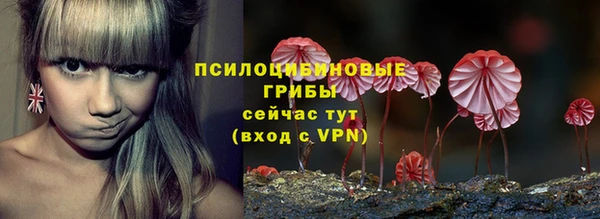 стафф Новозыбков