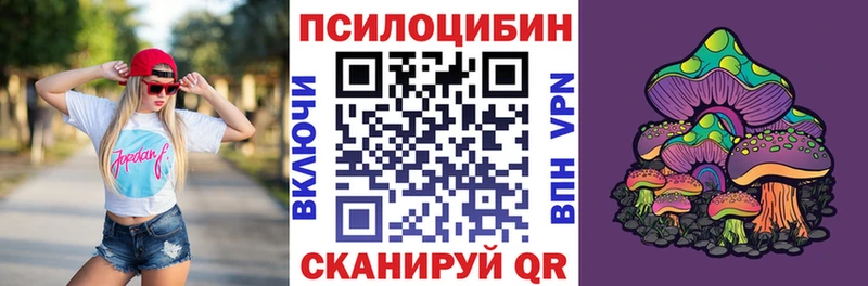 мега ссылка  Магнитогорск  Псилоцибиновые грибы Psilocybe 